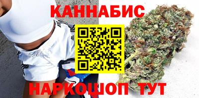 сатива Малгобек