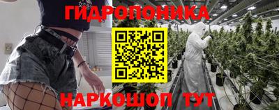 сатива Малгобек