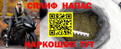 сатива Малгобек
