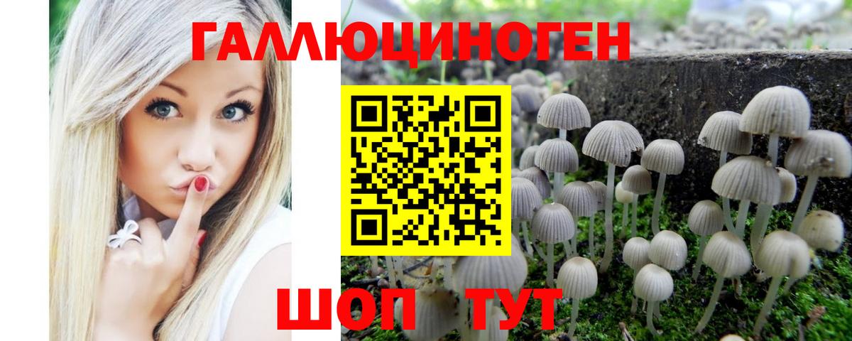 Галлюциногенные грибы MAGIC MUSHROOMS  Псилоцибиновые грибы прущие грибы  Волгоград  Вход с VPN 
