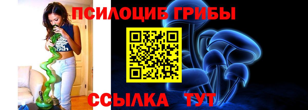 Псилоцибиновые грибы прущие грибы Волгоград